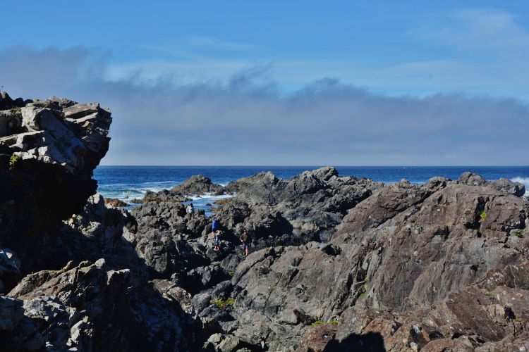 rugged coastline